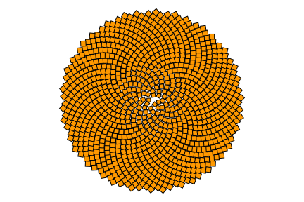 Sunflower Fractal